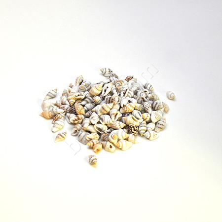 DENİZ KABUĞU (250 GRAM)